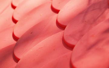 Dormanstown plastic roof costs