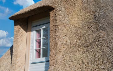 Dormanstown thatch roof disadvantages