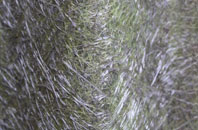 Dormanstown fibreglass roof work